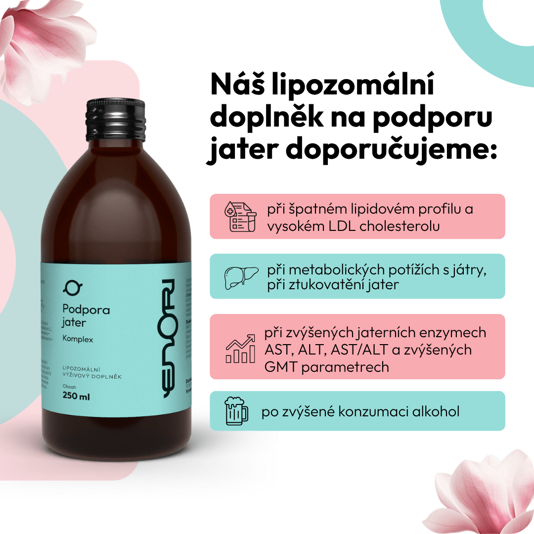 Podpora jater 1 CZ